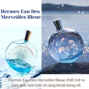 Hermes-Eau-Des-Merveilles-Bleue-chiet-1